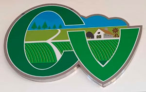 Campo Vitória